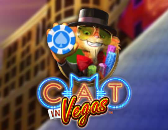 Cat in Vegas